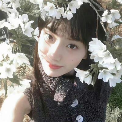 重返恐怖高校